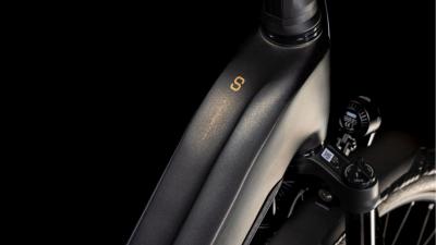 Cube Kathmandu Hybrid SLT 800 golddust'n'black Gr&ouml;&szlig;e: Easy Entry 54 cm Produktbild 1