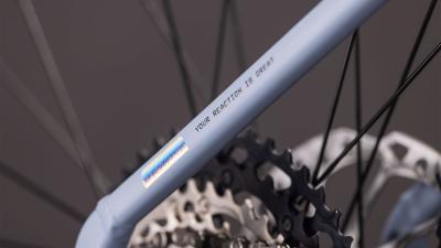 Cube Reaction Hybrid SLX 800 gauzegrey'n'iceblue Gr&ouml;&szlig;e: Easy Entry M Produktbild 4