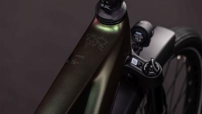 Cube Nuride Hybrid SLT 800 stellar'n'chrome Gr&ouml;&szlig;e: 62 cm Produktbild 1