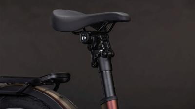 Cube Kathmandu Hybrid Pro 800 sunglow'n'chrome Gr&ouml;&szlig;e: Easy Entry 46 cm Produktbild 4