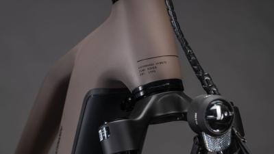 Cube Kathmandu Hybrid EXC 800 cedar'n'chrome Gr&ouml;&szlig;e: Trapeze 54 cm Produktbild 5