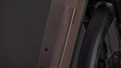 Cube Kathmandu Hybrid EXC 800 cedar'n'chrome Gr&ouml;&szlig;e: Easy Entry 50 cm Produktbild 3