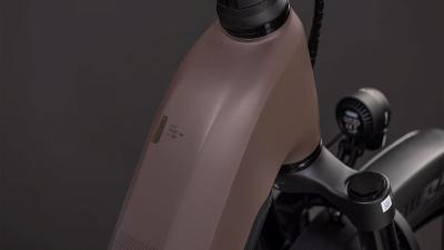 Cube Kathmandu Hybrid EXC 800 cedar'n'chrome Gr&ouml;&szlig;e: Easy Entry 54 cm Produktbild 1