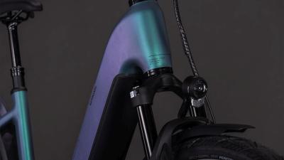 Cube Kathmandu Hybrid EXC 800 smaragdgrey'n'prism Gr&ouml;&szlig;e: Easy Entry 58 cm Produktbild 5