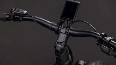 Cube Kathmandu Hybrid SLX 800 silverdust'n'chrome Gr&ouml;&szlig;e: Trapeze 50 cm Produktbild 3