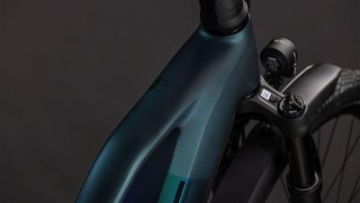 Cube Kathmandu Hybrid SLT 800 duskwood'n'goblin Gr&ouml;&szlig;e: Trapeze 46 cm Produktbild 1