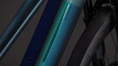 Cube Kathmandu Hybrid SLT 800 duskwood'n'goblin Gr&ouml;&szlig;e: Trapeze 46 cm Produktbild 2