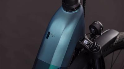 Cube Kathmandu Hybrid SLT 800 duskwood'n'goblin Gr&ouml;&szlig;e: Easy Entry 54 cm Produktbild 1