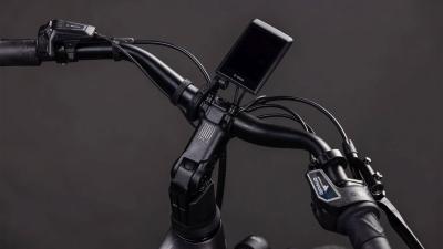 Cube Supreme Hybrid Deluxe Pro 600 quicksilver'n'grey Gr&ouml;&szlig;e: Easy Entry 50 cm Produktbild 2