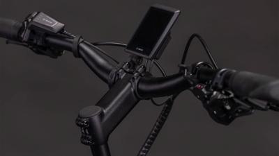 Cube Longtail Hybrid 800 royalgreen'n'black Gr&ouml;&szlig;e: 26": ONE SIZE Produktbild 2