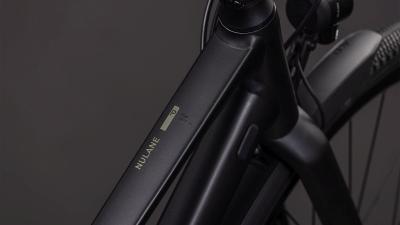 Cube Nulane Pro FE grey'n'chrome Gr&ouml;&szlig;e: Trapeze 50 cm Produktbild 1