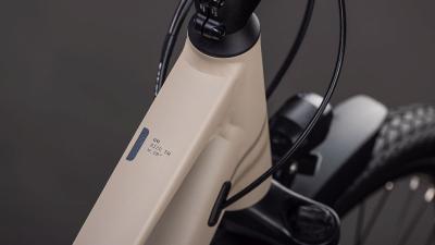 Cube Kathmandu ONE oatgrey'n'grey Gr&ouml;&szlig;e: Trapeze 46 cm Produktbild 3