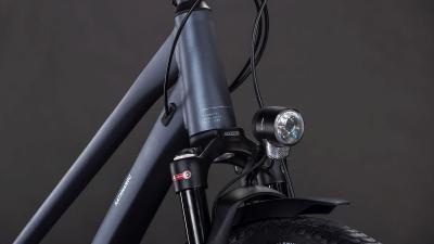 Cube Kathmandu EXC metallicgrey'n'chrome Gr&ouml;&szlig;e: Trapeze 46 cm Produktbild 5