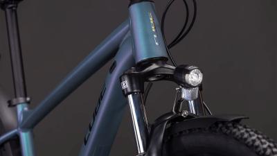 Cube Aim Pro FE smaragdgrey'n'prism Gr&ouml;&szlig;e: XXL Produktbild 4